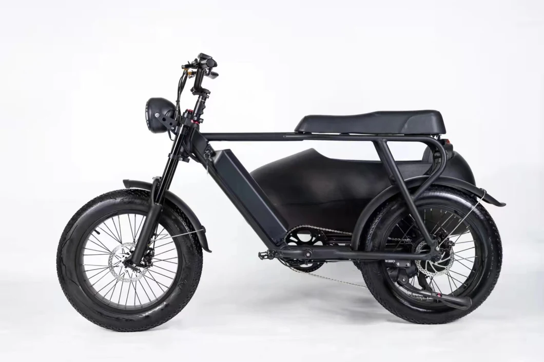 Ultra Low Price Electric Bike High Performance Sidecar for Adult Commuter