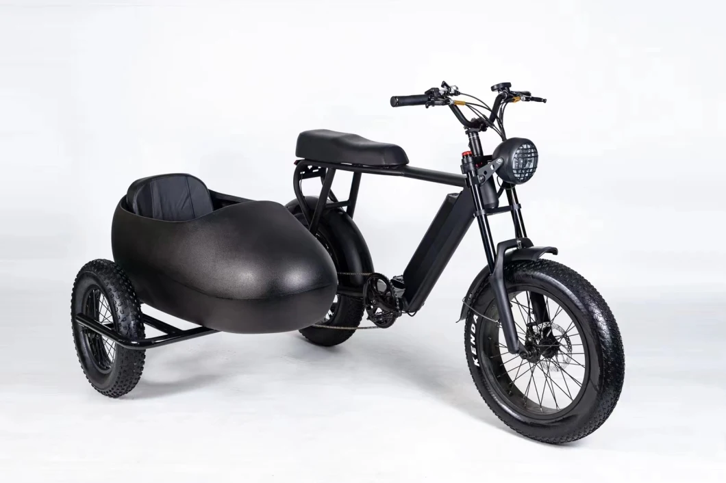Ultra Low Price Electric Bike High Performance Sidecar for Adult Commuter