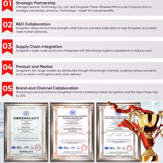 China Factory Electric Rickshaw Adult Passenger Tricycle