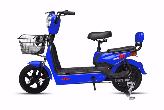 2022 High Speed Long Range Fat Tire Kawasakis Z1000 Sportbike Electric Racing Motorcycle for Sale